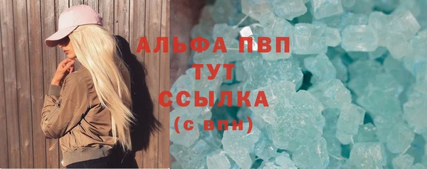 хмурый Сосновый Бор