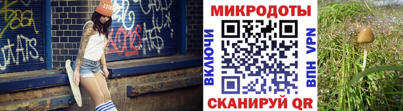 Псилоцибиновые грибы мухоморы  Кострома 